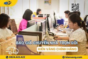baogiachuyennhatrongoikienvangchinhhang 3