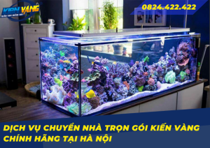 huong dan dong goi va van chuyen be ca canh an toan 0 2