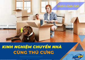 kinh nghiem chuyen nha khi co thu cung 0 700 C397 495 px 1