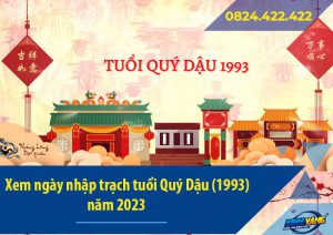 xem ngay nhap trach tuoi quy dau 1993 nam 2023 001