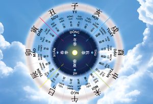 xem ngay tot chuyen nha 2 1