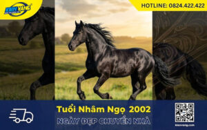 Xem ngày đẹp chuyển nhà tuổi Nhâm Ngọ 2002